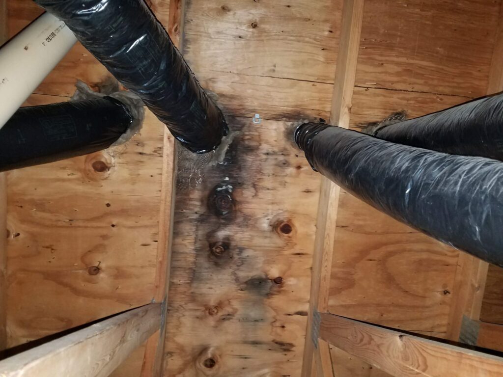 Expert Wood Rot Repair Services in Cedar Rapids, IA